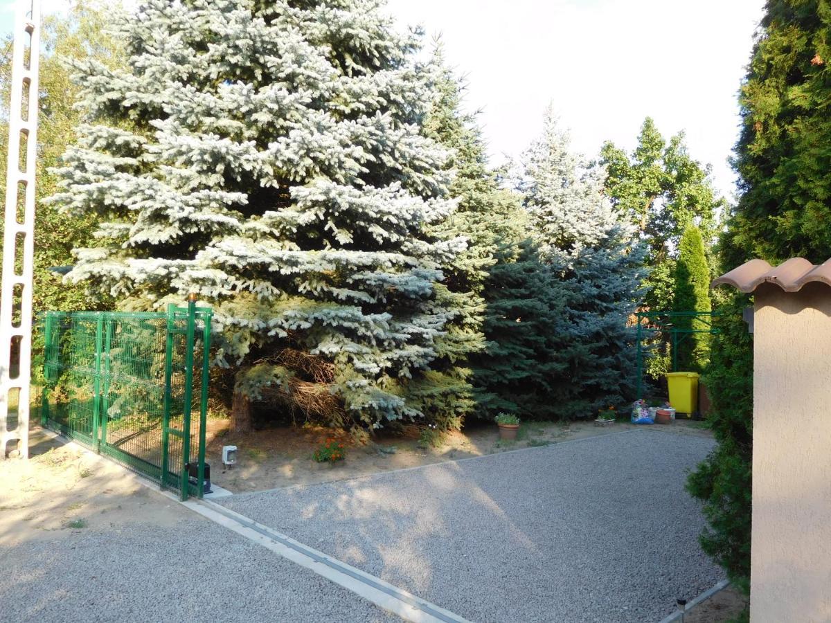 Golden Apartman Orosháza Exterior photo